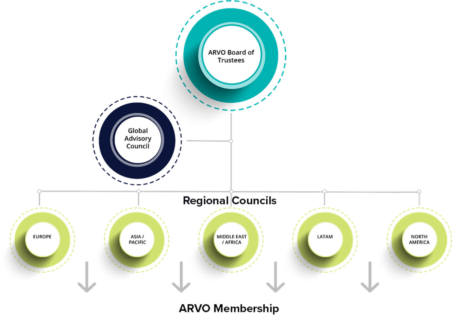 Board of Trustees-Global Advisory Council heirarchy chart