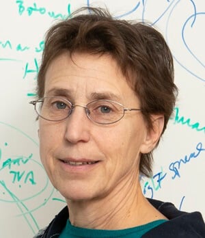 2025 Friedenwald Award recipient: Connie Cepko