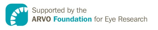 ARVO Foundation Logo