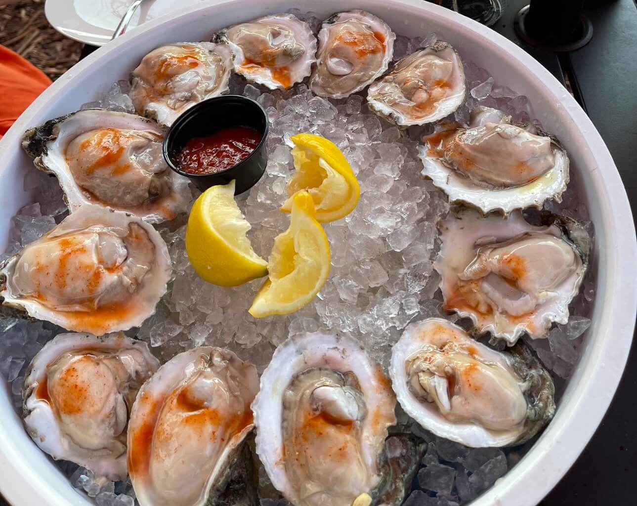 Oysters