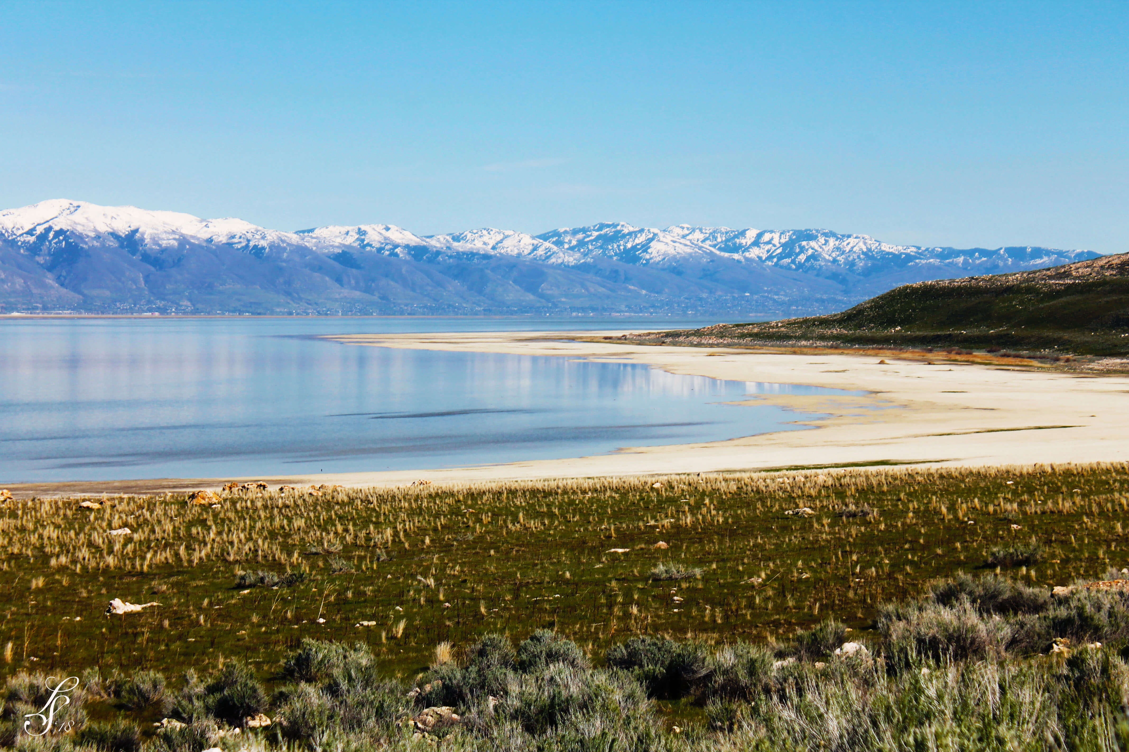 View of the Salt Lake from Antelope Island