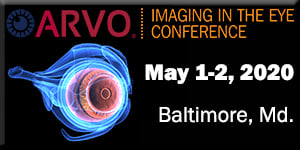 Imaging in the Eye Conference