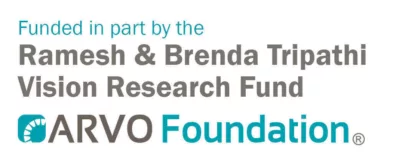 Funded in part by the Ramesh & Brenda Tripathi Vision Research Fund, ARVO Foundation